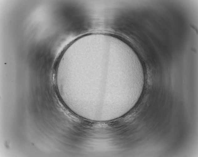 X0000103951462200810031334