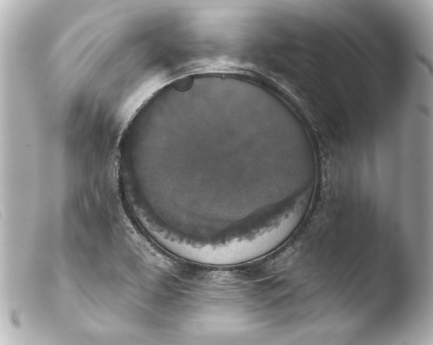 X0000103951463200810031334