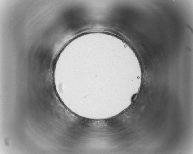 X0000103951464200810031334