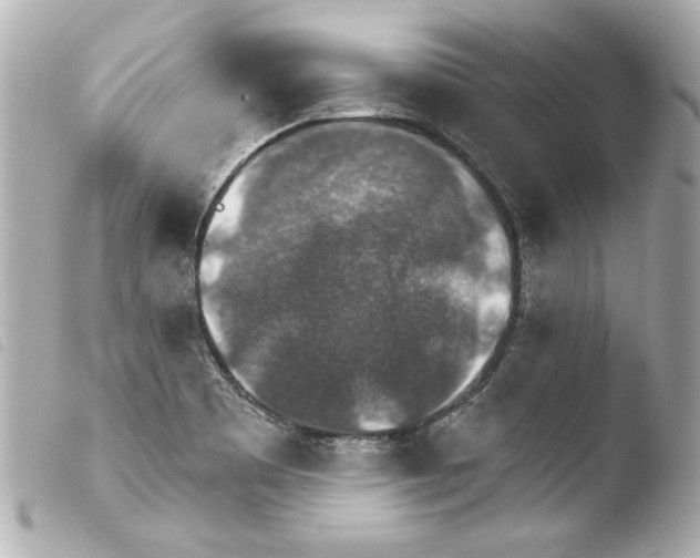 X0000103951465200810031334