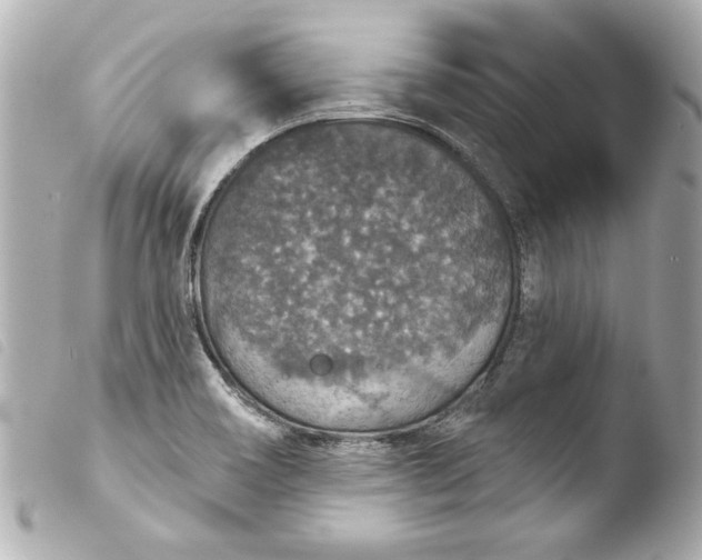 X0000103951466200810031334