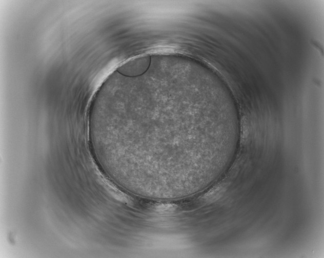 X0000103951467200810031334