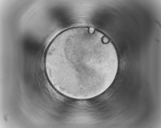 X0000103951468200810031334