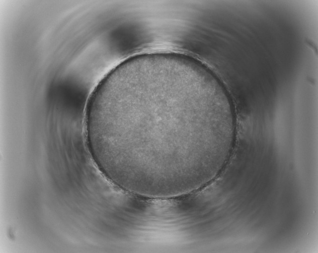 X0000103951469200810031334