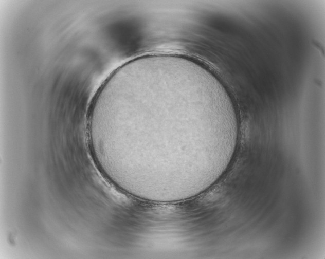 X0000103951470200810031334