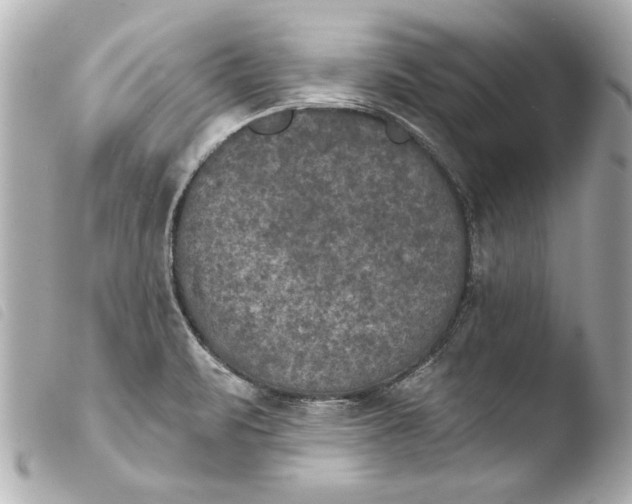 X0000103951471200810031334