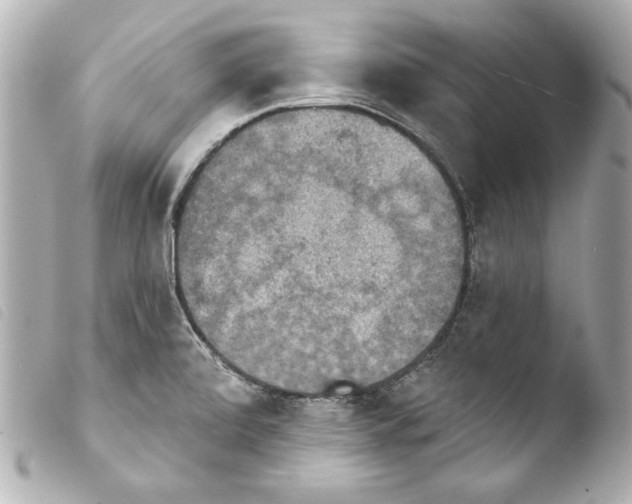 X0000103951472200810031334