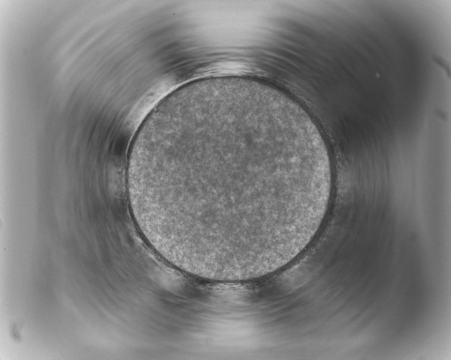 X0000103951473200810031334