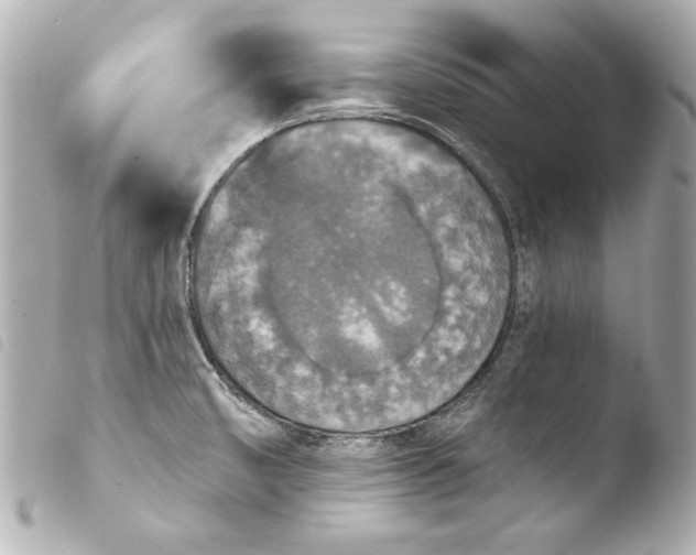 X0000103951474200810031334