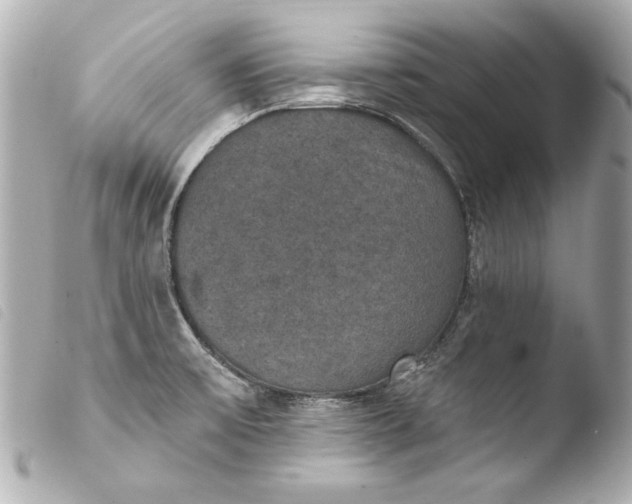 X0000103951475200810031334