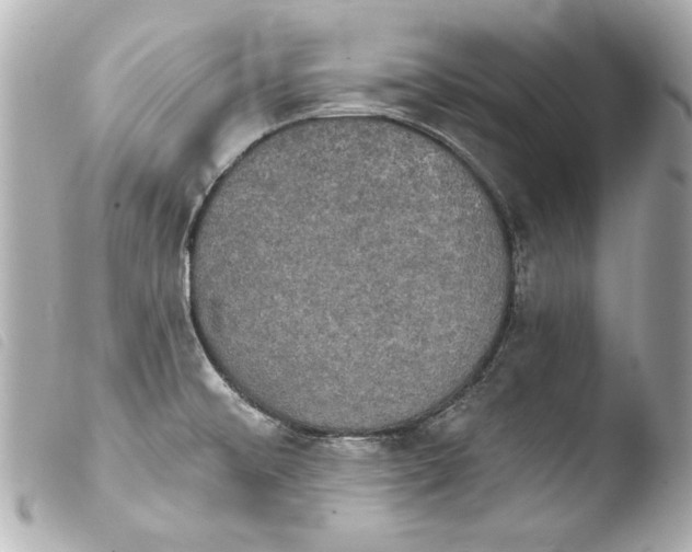 X0000103951476200810031334