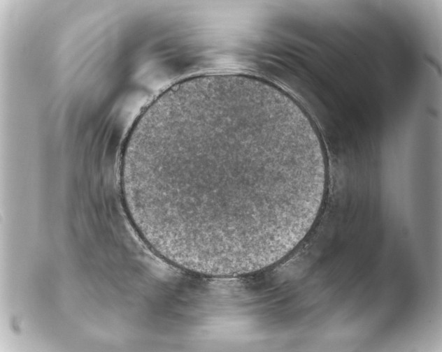 X0000103951477200810031334