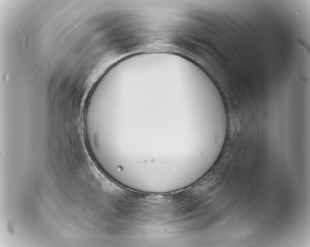 X0000103951478200810031334