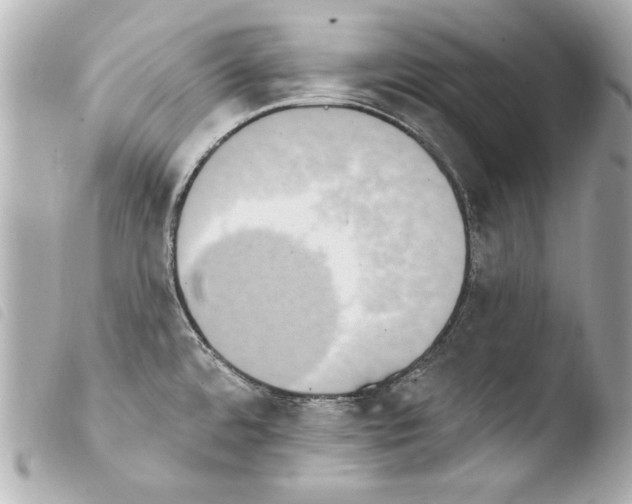 X0000103951480200810031334