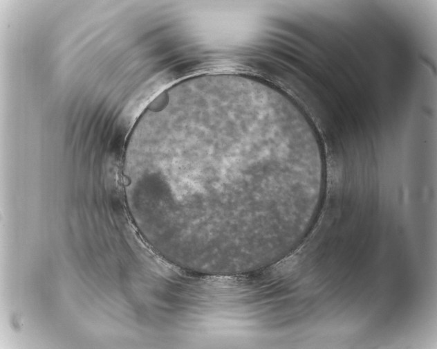 X0000103951481200810031334