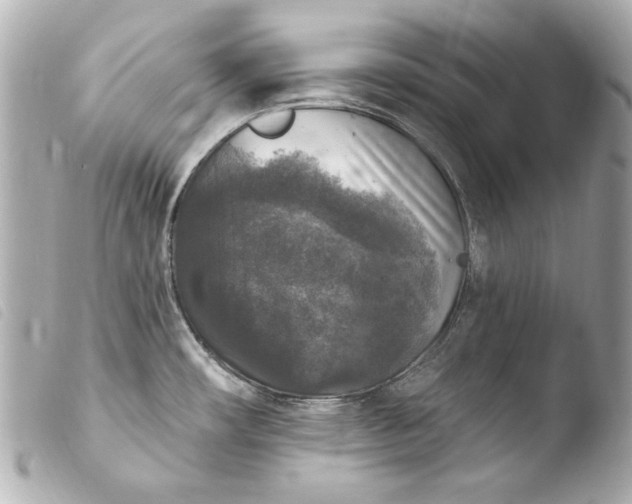 X0000103951482200810031334