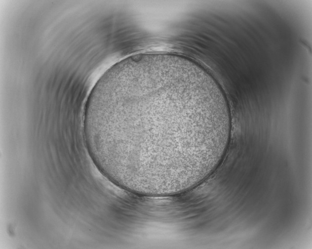 X0000103951483200810031334