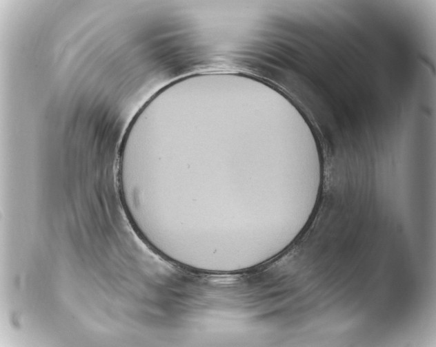 X0000103951484200810031334