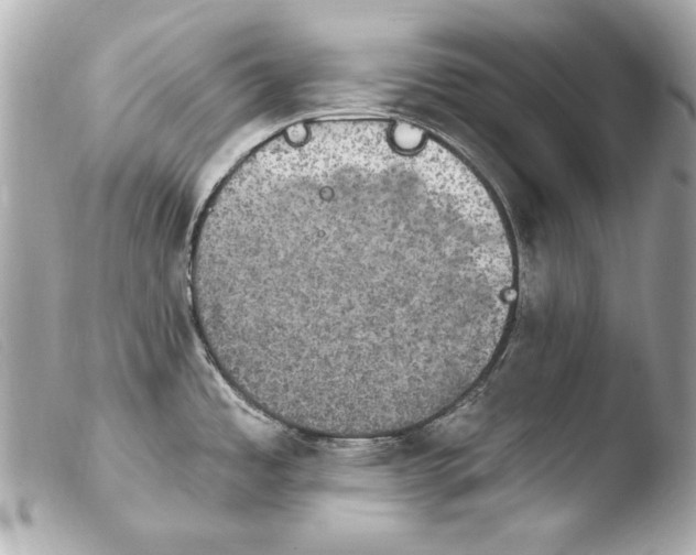 X0000103951485200810031334