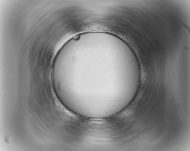 X0000103951486200810031334