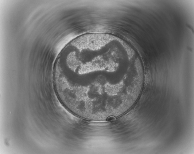 X0000103951487200810031334