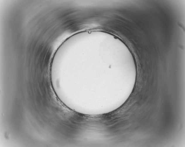 X0000103951488200810031334