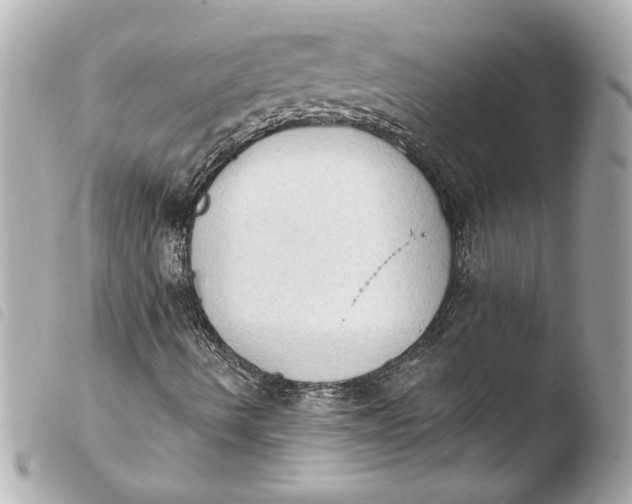 X0000103951490200810031333