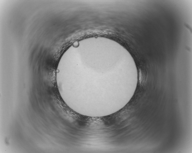 X0000103951492200810031333