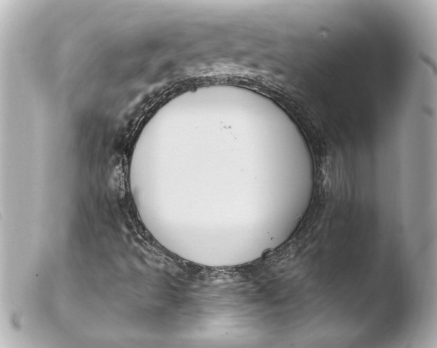 X0000103951493200810031333