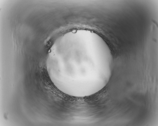 X0000103951495200810031333