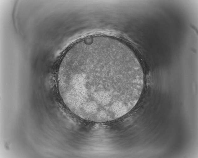 X0000103951496200810031333