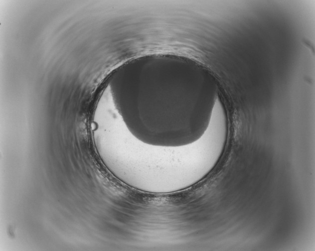 X0000103951497200810031333