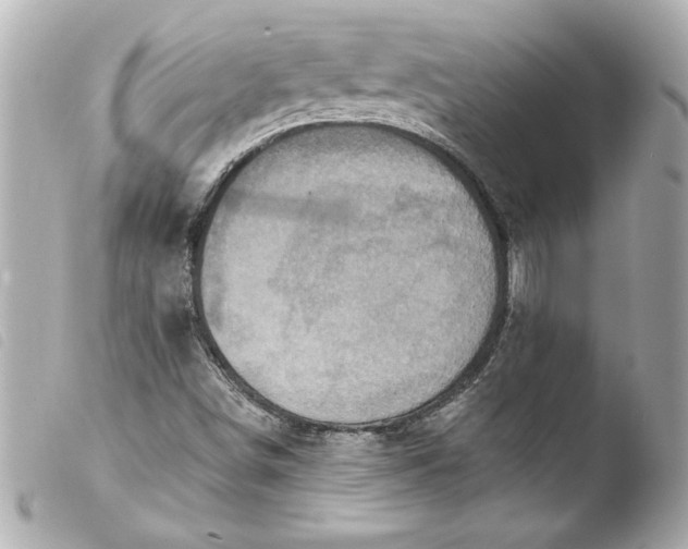 X0000103951498200810031333