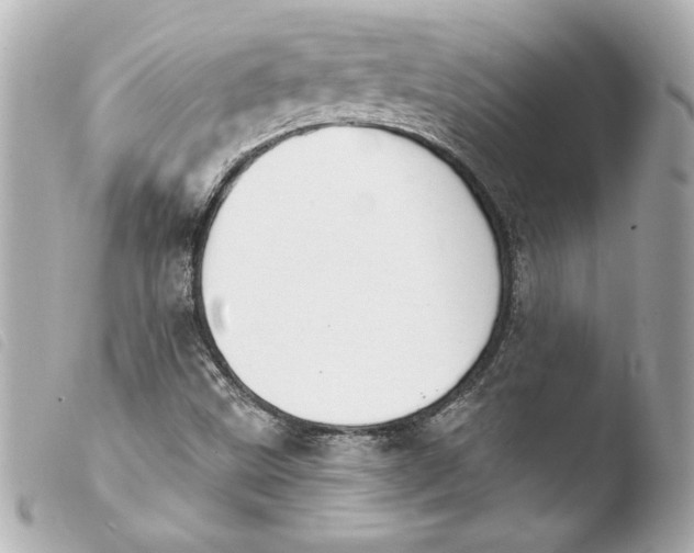 X0000103951499200810031333