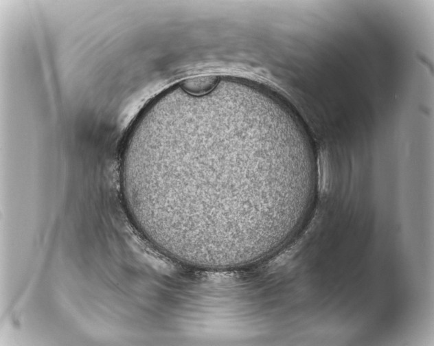 X0000103951501200810031333