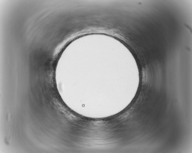 X0000103951502200810031333