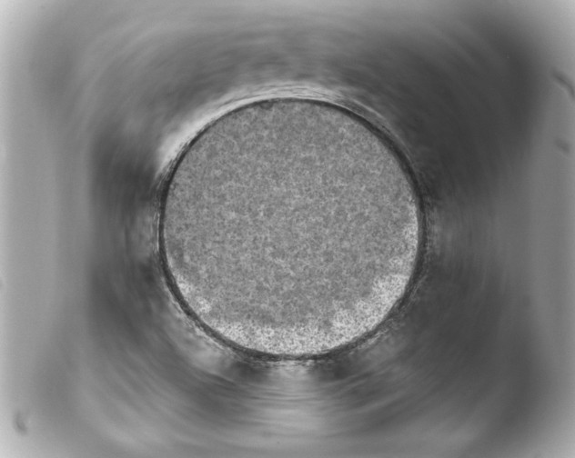 X0000103951504200810031333