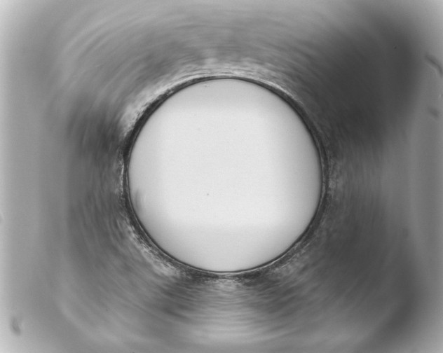 X0000103951507200810031333