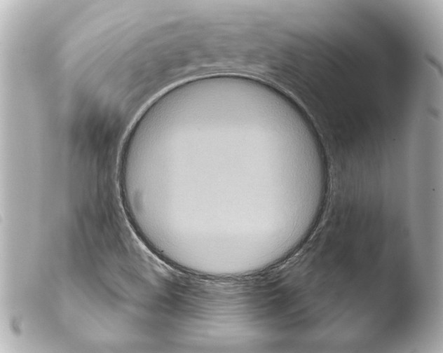 X0000103951508200810031333