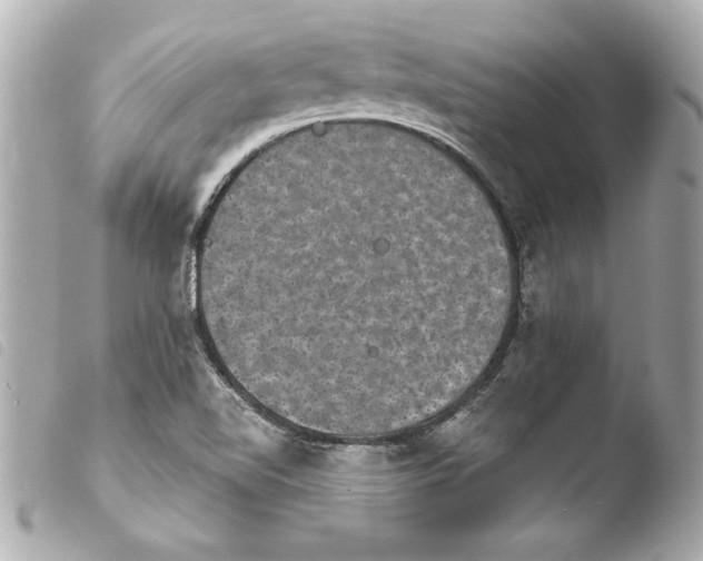 X0000103951510200810031333