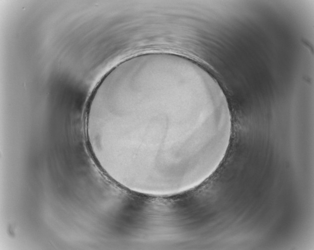 X0000103951514200810031333