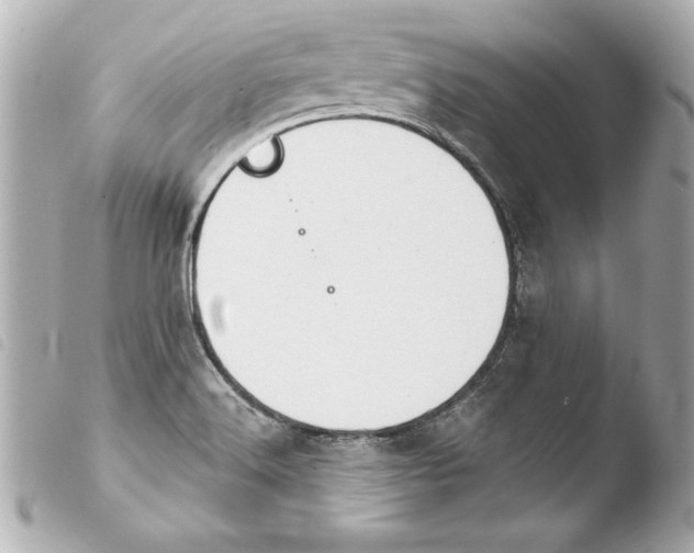 X0000103951516200810031333