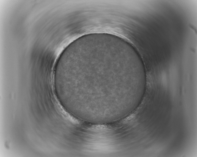 X0000103951517200810031333