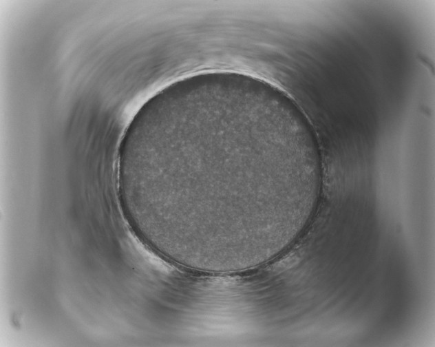 X0000103951519200810031334