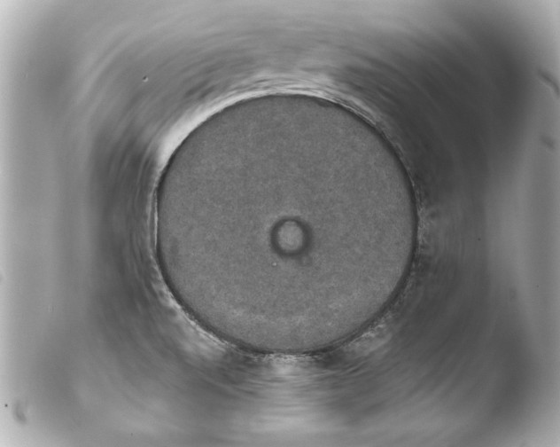 X0000103951520200810031334