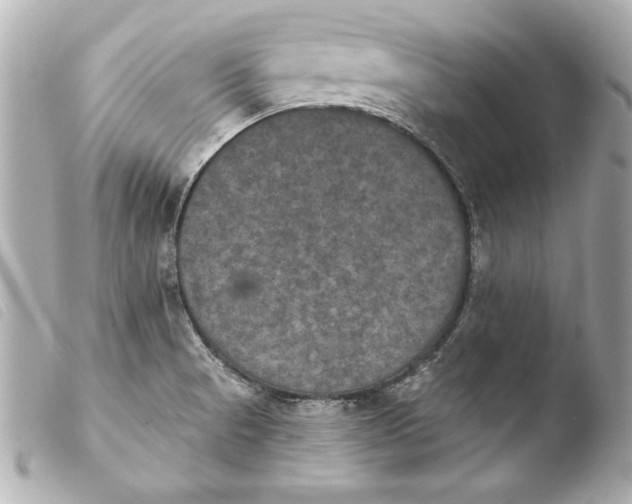 X0000103951521200810031334