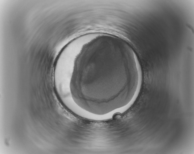 X0000103951522200810031334