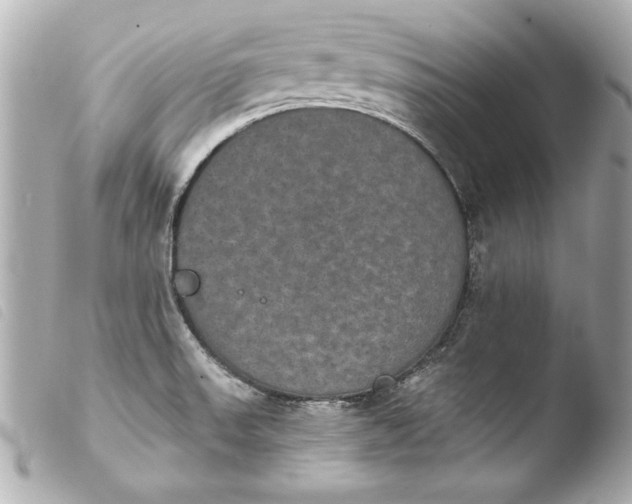 X0000103951523200810031334