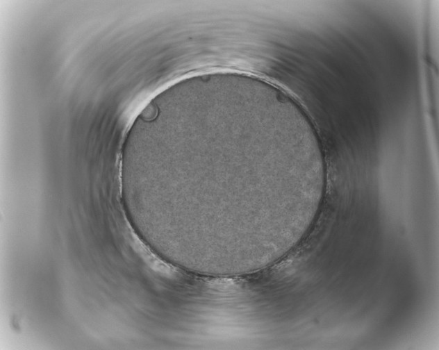 X0000103951524200810031334