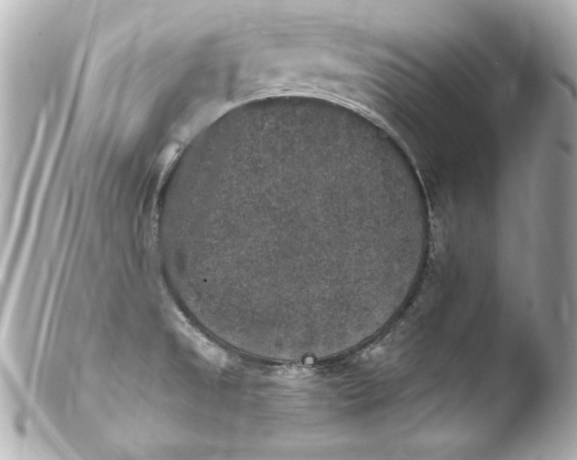 X0000103951525200810031334